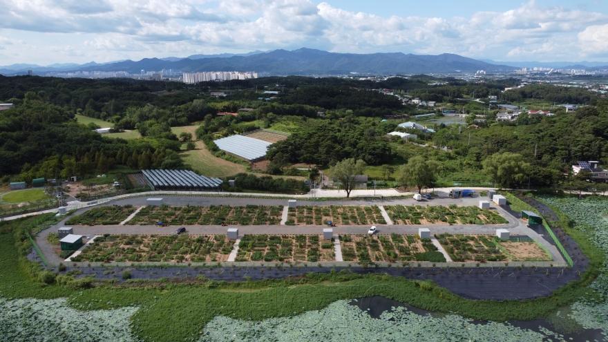 [크기변환]경산시 - 경산시, 도시농업 공영농장 개장, 시민 호응 기대.jpg