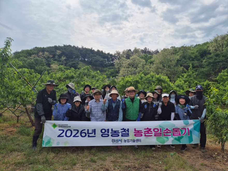 [크기변환]경산시 - 경산시, 농촌 일손 돕기 참여.jpg