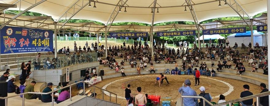 [크기변환]경산시 - 2026 경산자인단오제 기념 「전국 대학장사 및 일반부 씨름대회」 개최2.jpg