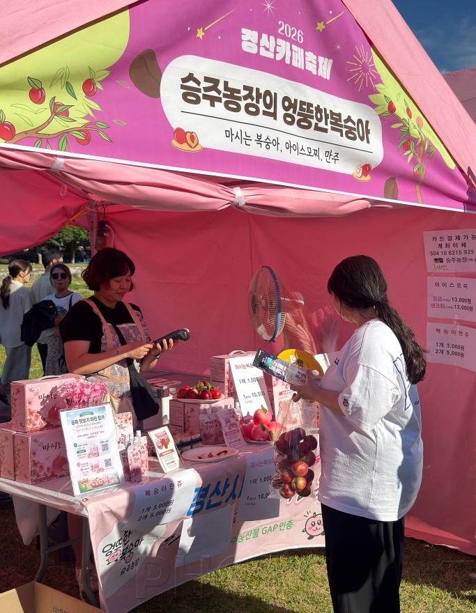 [크기변환]복숭아 농가(승주농장의 엉뚱한복숭아).JPG