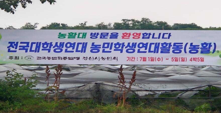[크기변환]경산시 - 전국 대학생 연대 경산 지역에서 농촌봉사활동 실시 (3).jpg