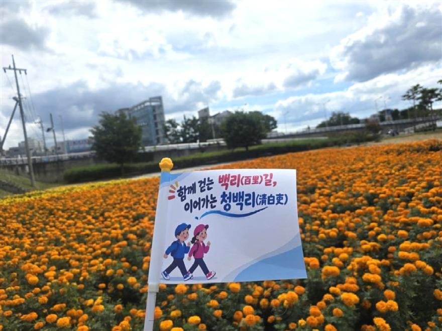 6. [사진] 영천시, 걸음으로 새기는 청렴,‘청백리(100리)’를 걷다 2.jpg