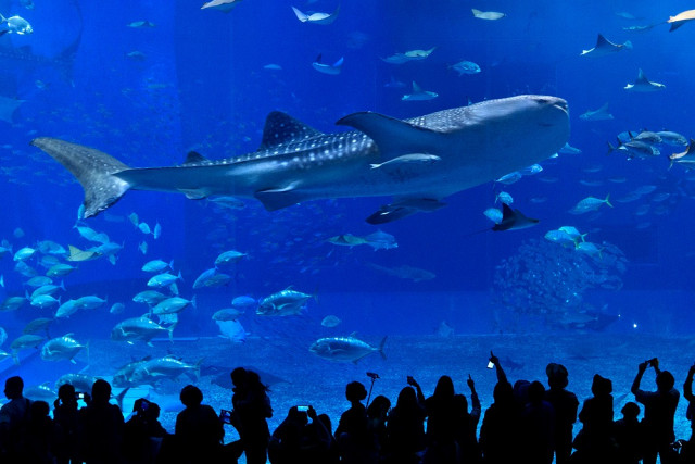 모두투어 ‘꿈꾸던 여유, 긴 여운 오키나와’ 기획전 출시