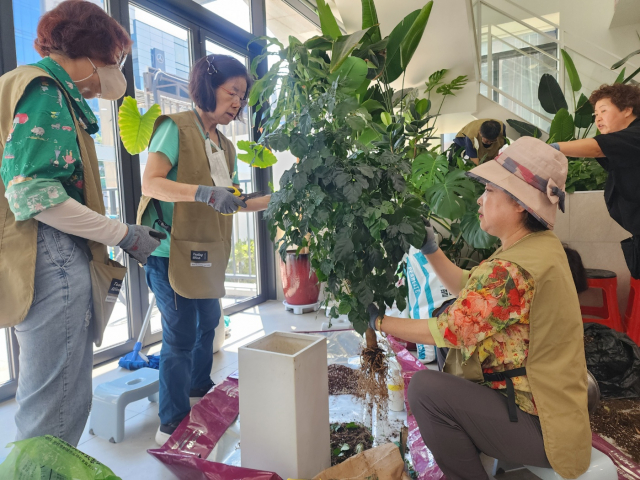 서초구립중앙노인종합복지관, ‘서리풀 가드너’를 중심으로 반려식물을 꽃 피우다