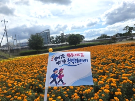 영천시, 걸음으로 새기는 청렴,‘청백리(100리)’를 걷다